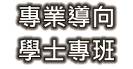 專業導向學士專班